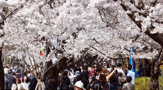 하얗게 물든 여의도