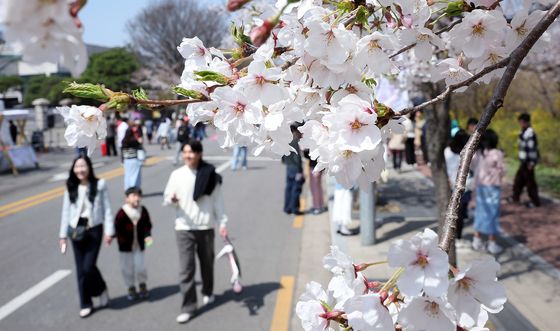 봄과 함께 걸어요