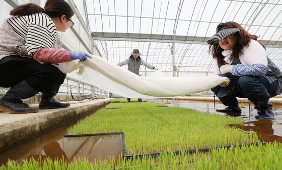 '올해도 잘 부탁해'