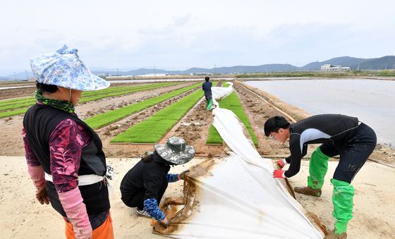 농사 준비에 바쁜 들녘