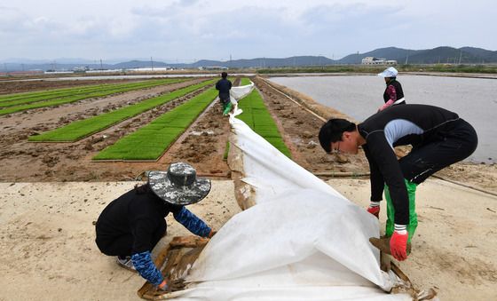 농사는 정성이죠