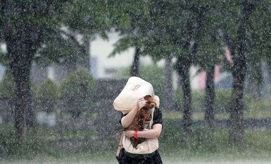 비를 피해 뛰어라