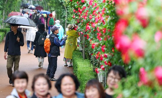 제17회 중랑 서울장미축제