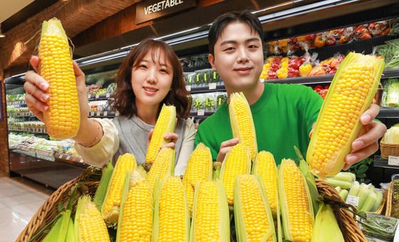 현대백화점, 올해 첫 '초당옥수수' 판매 시작