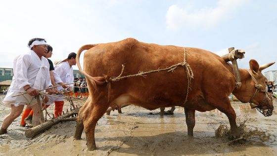 직접 체험하는 농경문화