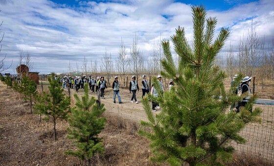 대한항공과 아시아나 임직원들 '몽골 숲 가꿔요'