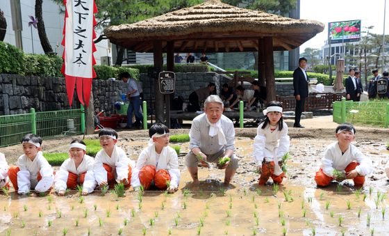 전통 모내기 체험하는 아이들