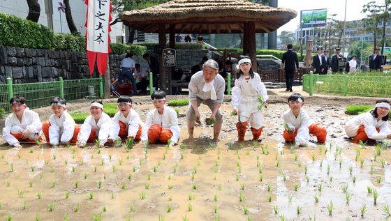 절기상 소만, 전통 모내기 체험