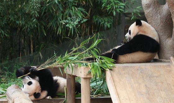 생물 다양성의 중요