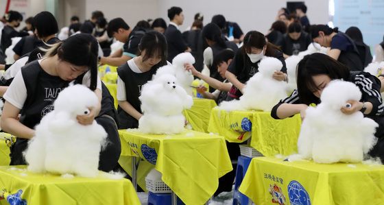 세상에서 제일 멋진 댕댕이로 변신