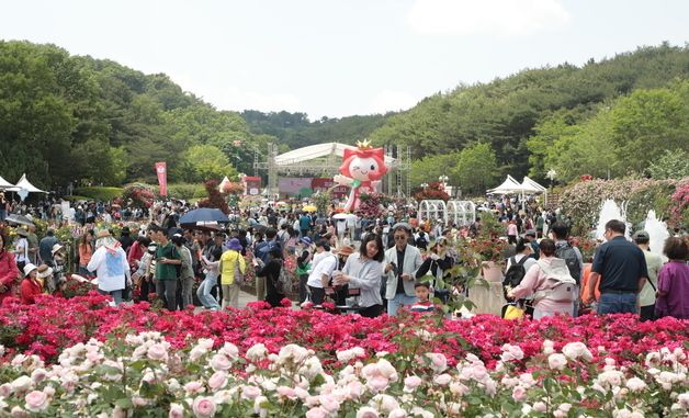 울산대공원 장미 '활짝'