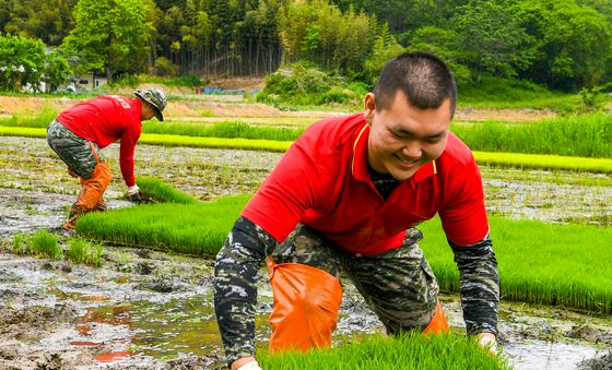 농촌 일손돕기에 나선 해병대