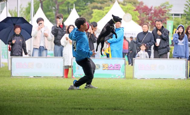 반려견과 임실N펫스타 즐겨요~