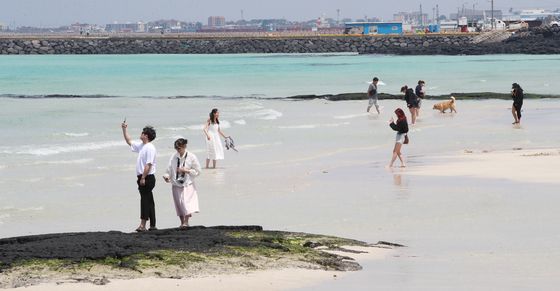 제주 봄바다에서 여름 미리보기