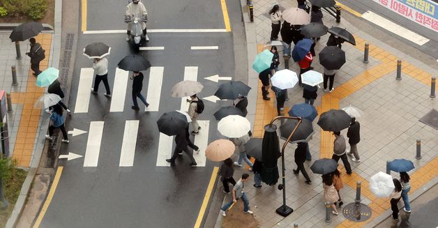 전국에 내리는 봄비