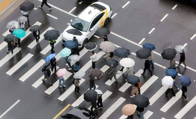 전국에 내리는 봄비