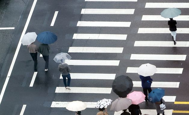 전국에 내리는 봄비