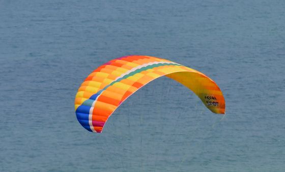 바다를 배경삼아