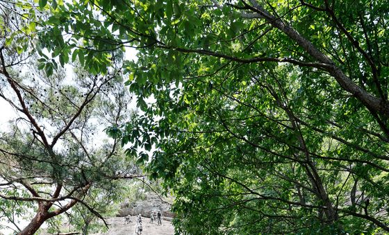 응원하는 동기들