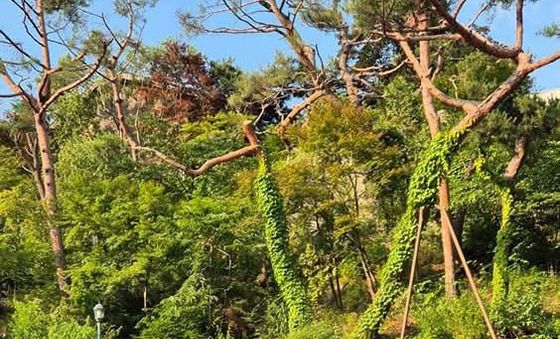 이재명 대통령 장남 결혼식에 초대된 '오리엔트 시계' 공장 동료들