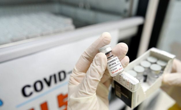 코로나 19 백신 수량 점검