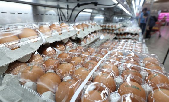 공정위, 산란계협회 '계란값 담합' 혐의 조사 착수