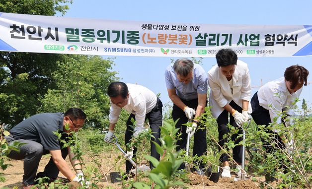 천리포수목원, 천안시& 삼성전자 천안사업장과 멸종위기종 노랑붓꽃 살리기 위해 손잡는다!