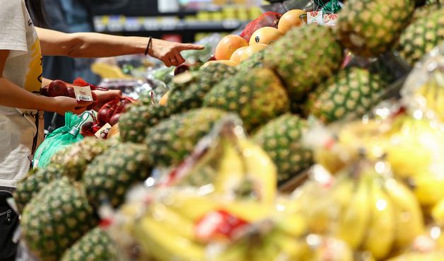 할당관세 지원했지만 물가 잡기엔 '역부족'