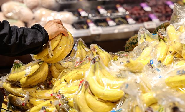 할당관세 지원했지만 물가 잡기엔 '역부족'