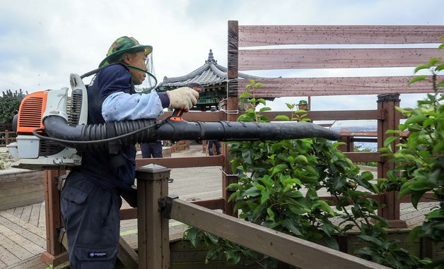 러브버그 대량 출몰에 날벌레 트랩 설치