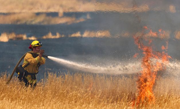 [포토] 덤불화재 진압하는 소방관