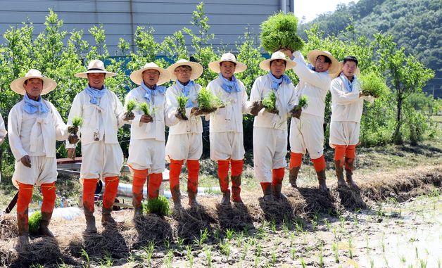 농촌지도자 청양군연합회, '권농일 손모내기' 행사 열어