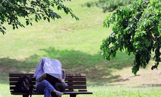'로맨틱한 공원 극장'