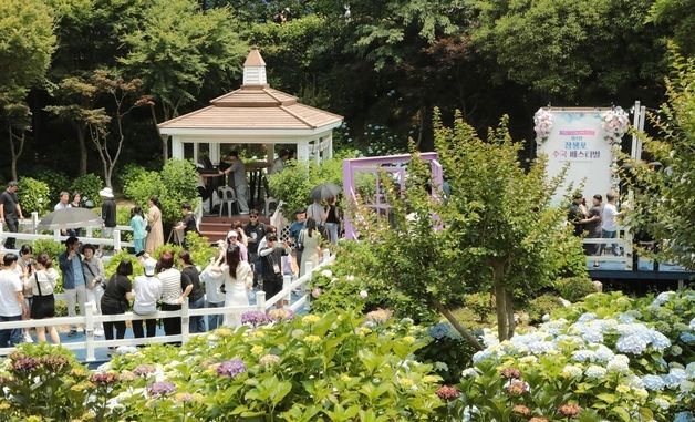 울산 장생포 수국축제 29일까지 개최