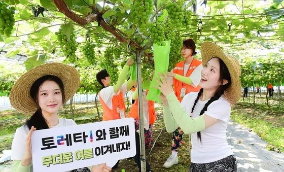 토레타! 대학생 농촌봉사단체에 1만2천개 음료 지원