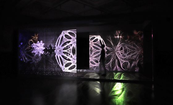 신세계百, 강이연 작가의 대형 미디어 아트 전시 선봬