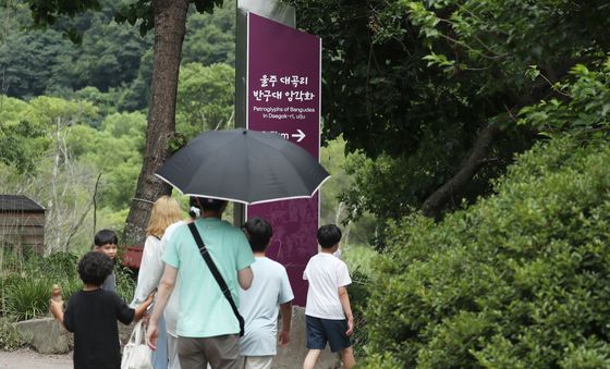 '유네스코 등재' 반구대 암각화 보러 가볼까