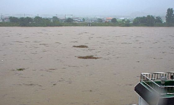 홍수경보 발효된 담양 삼지교