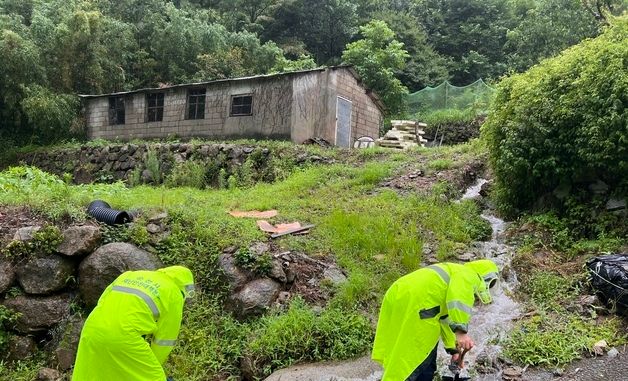 안전조치 나선 순천시