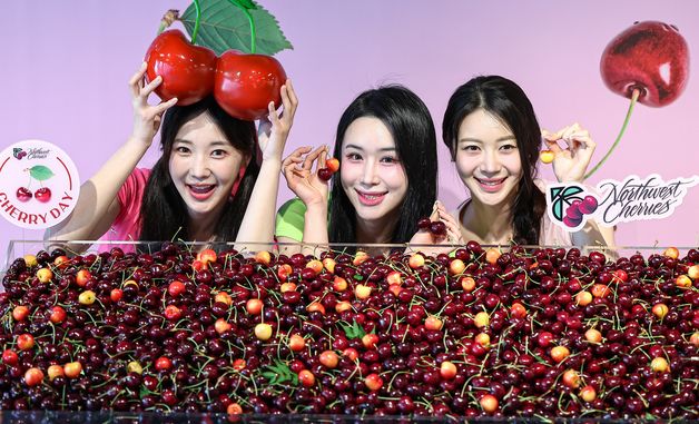 '여름 건강을 책임지는 체리'