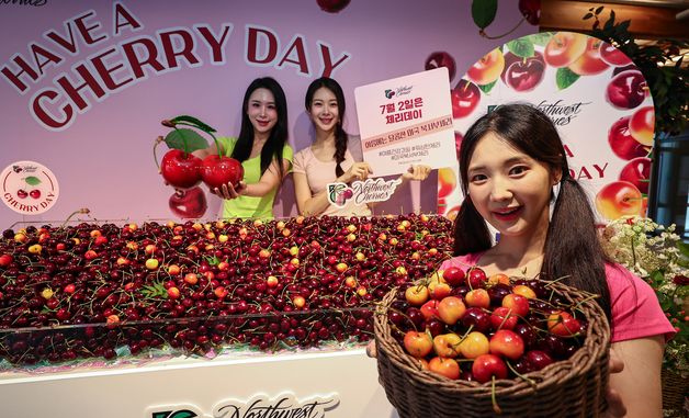 '여름에는 달콤한 미국 체리를'