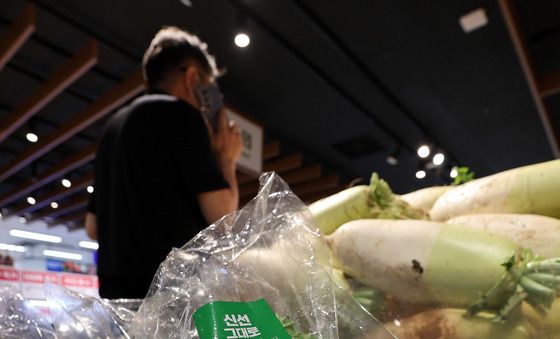 정부, 배추 1.3만톤 더 푼다