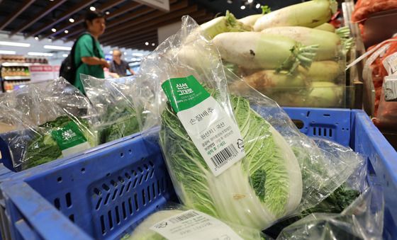 정부, 추석 전 배추 3.6만톤 방출