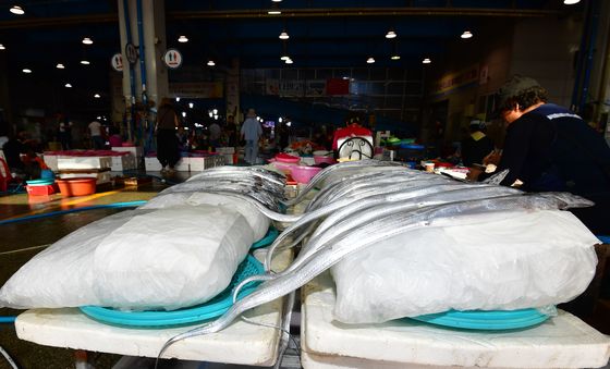 얼음 방석에 진열된 갈치