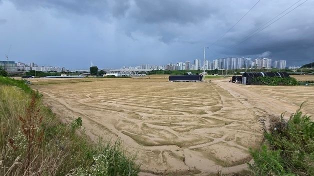 "토사 쌓여 작물이 안보이네"