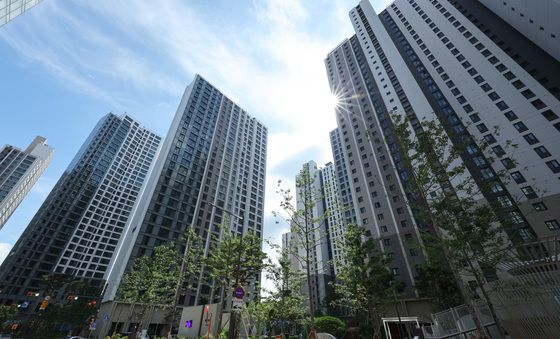 메이플자이 전셋값 하락