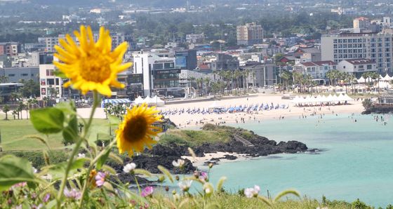 찜통 더위 계속되는 제주