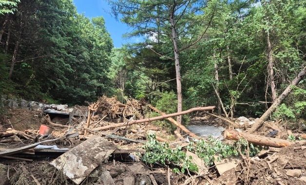 처참한 가평 캠핑장 산사태 현장