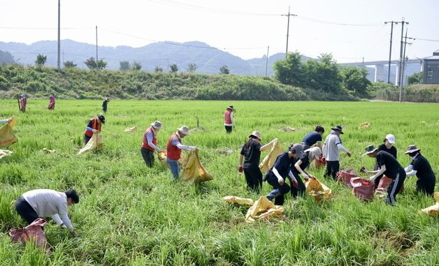 공주시, 270명 규모 수해 복구 봉사활동 실시