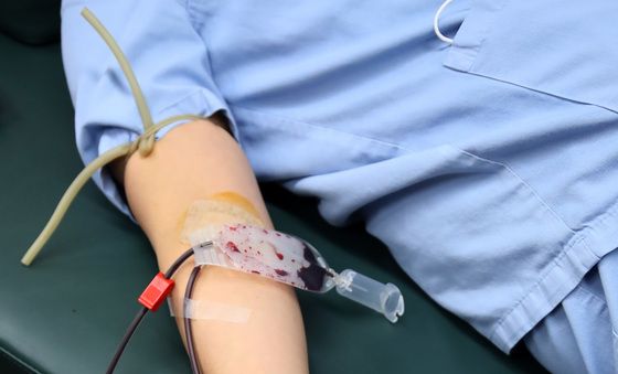 대구 곽병원 '사랑의 헌혈' 동참하는 간호사